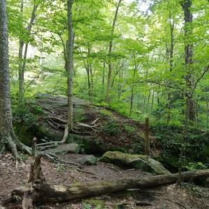 Meet your Posher, Ralph